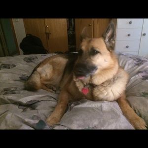 Meet your Posher, Cchantalle